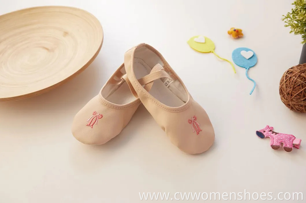 Stylish E5013 Canvas Split Sole Ballet Dance Shoes for Women